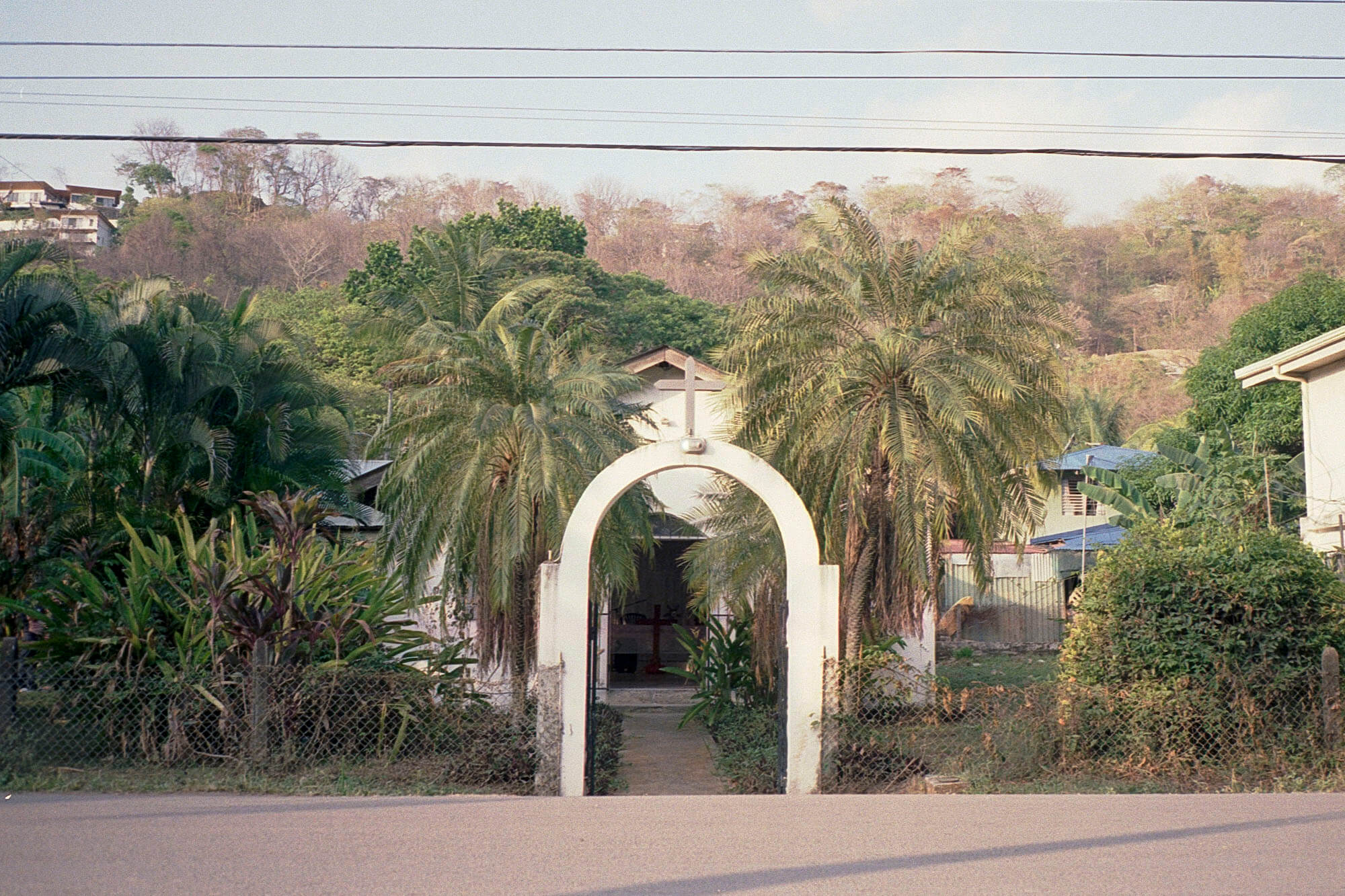 Costa_Rica_lores_007