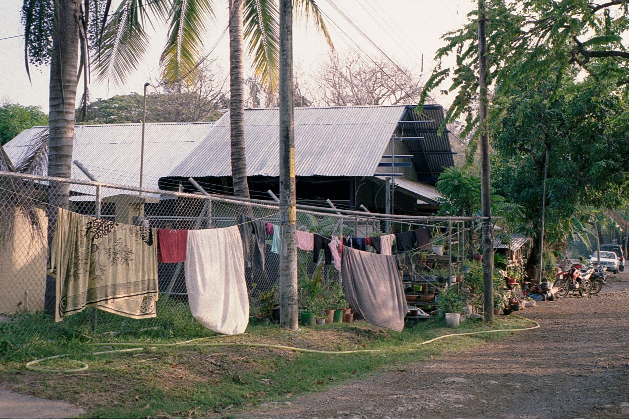 Costa_Rica_lores_038