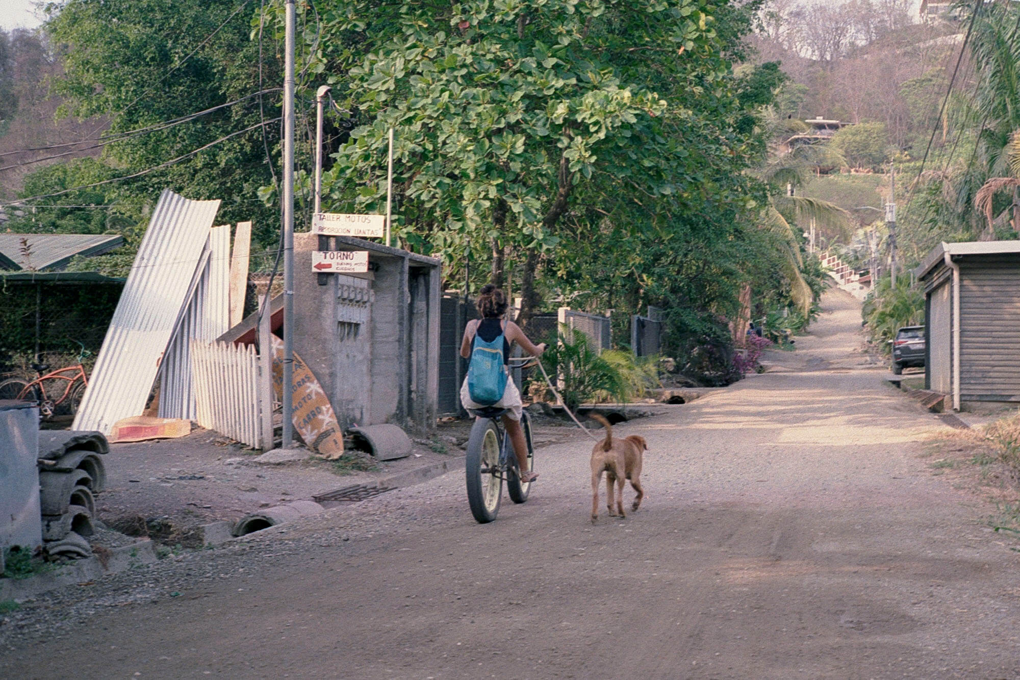 Costa_Rica_lores_040